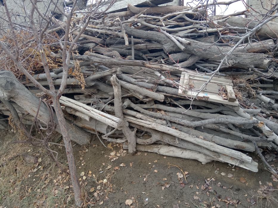 Tarashalar sotiladi aralash orik tut daraxti bor qolgan malumot telda