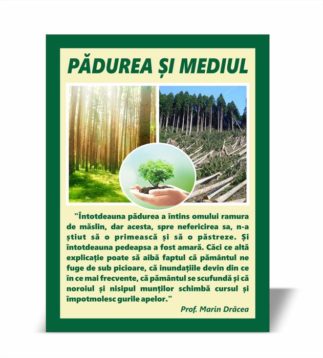 Panouri Propagandă Silvică