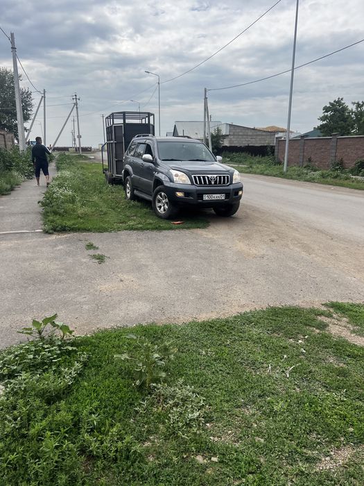 Услуга коневозка услуги перевозка