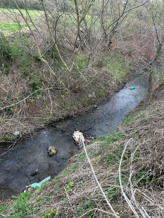 Vand teren extravilan in Pestisu mare