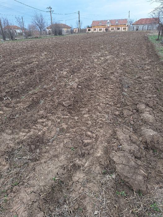 Pământ, loc de casa.