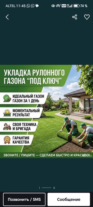 Газон рулонный жонсин