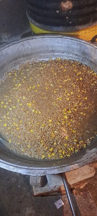 Кошкар сатылады гисары