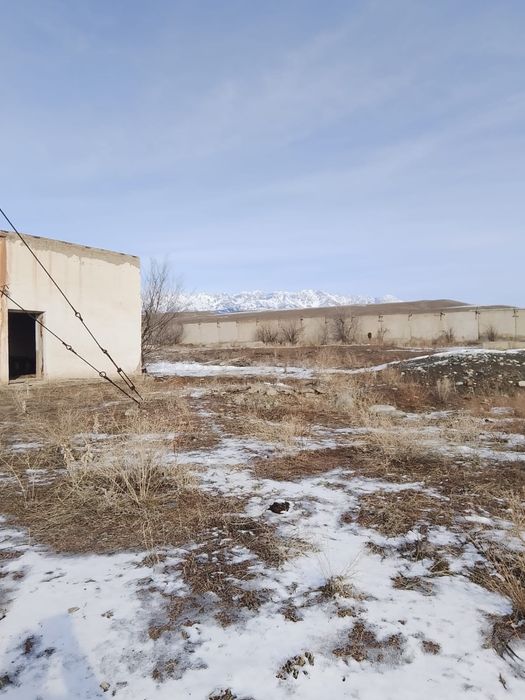 Продам базу рядом с Хоргосом