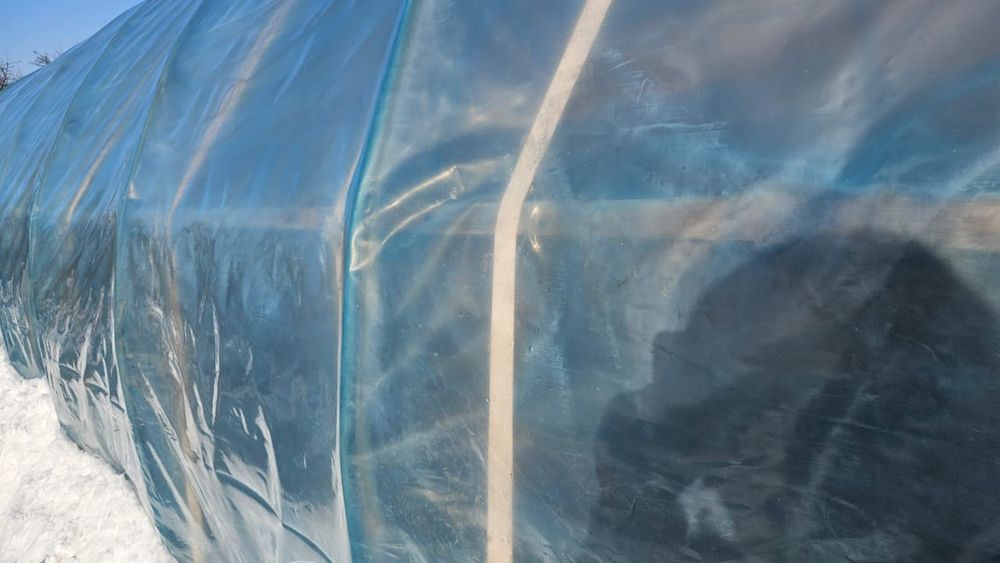 Продается теплица размеры 5*20,100кв.м.