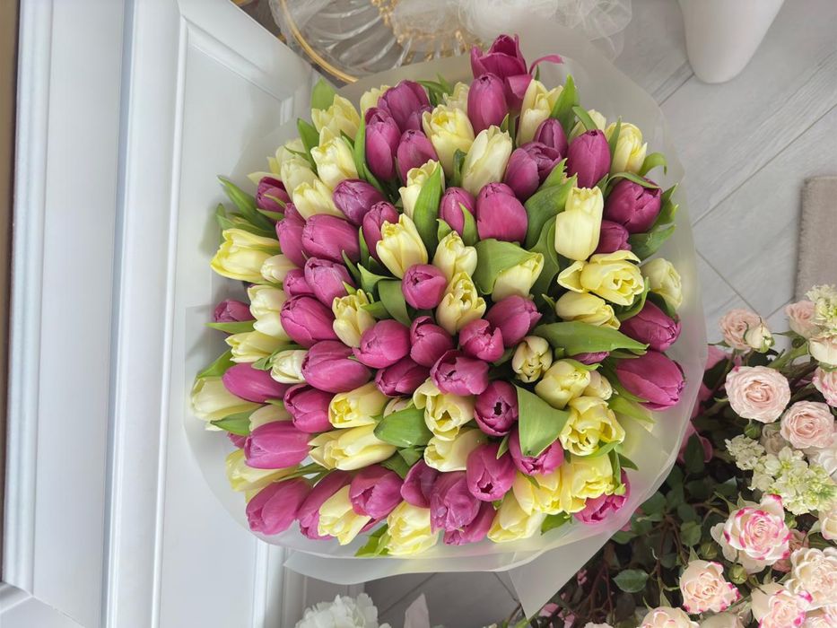 Свежие тюлпаны, 101 штук