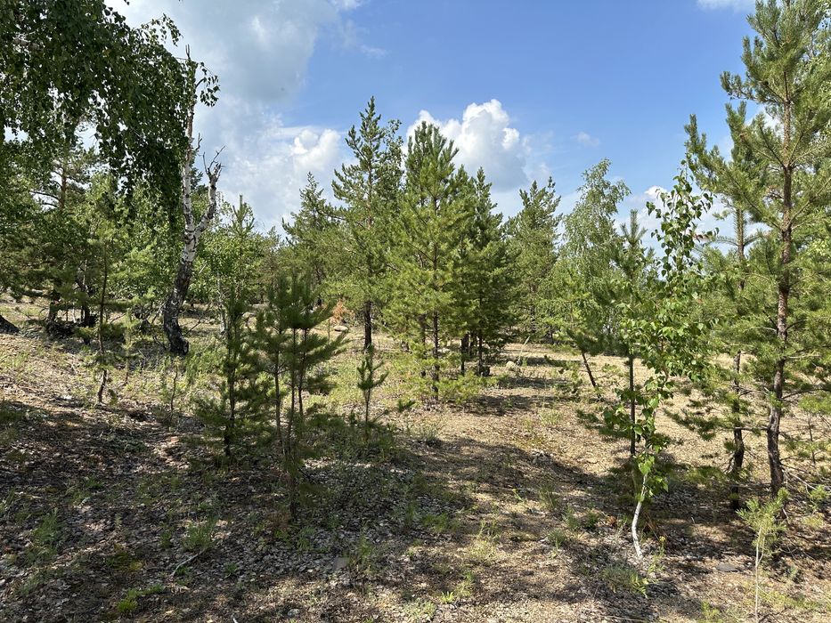 Участок на берегу озера Шалкар