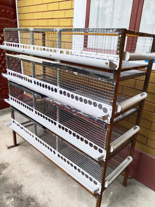 Мини ферма для разведения перепелов