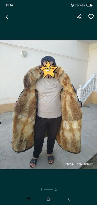 чавондозлар пустин тулки терили натуралний