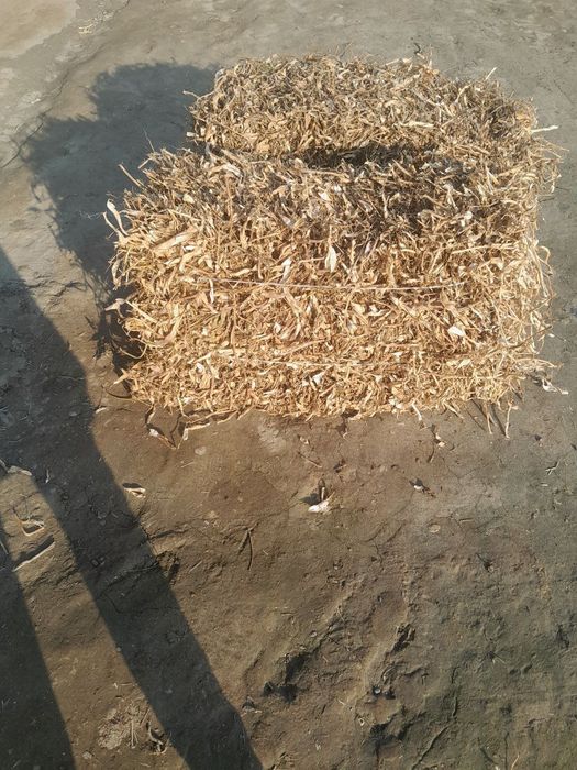 Loviya Pres Sotiladi