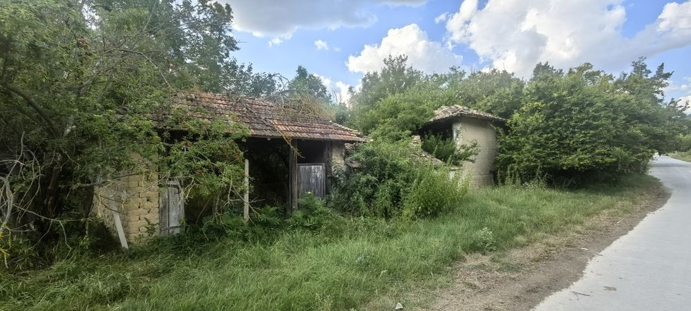 Къща с голям двор 3200 кв.м и река с. Новосел, обл. Шумен