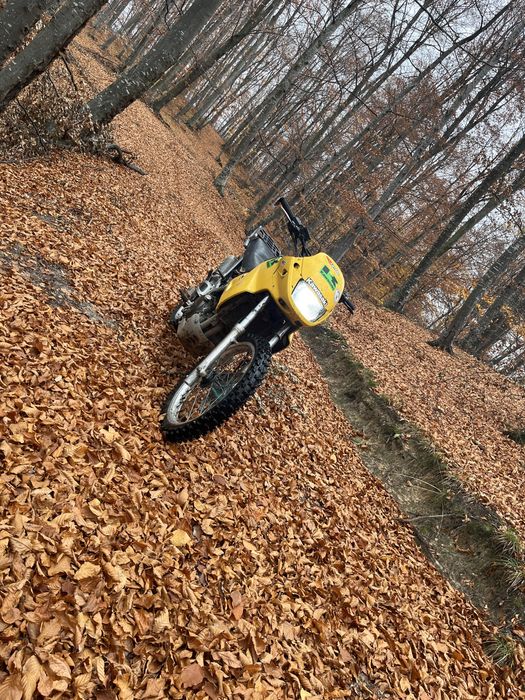 Kawasaki kle de padure-câmp