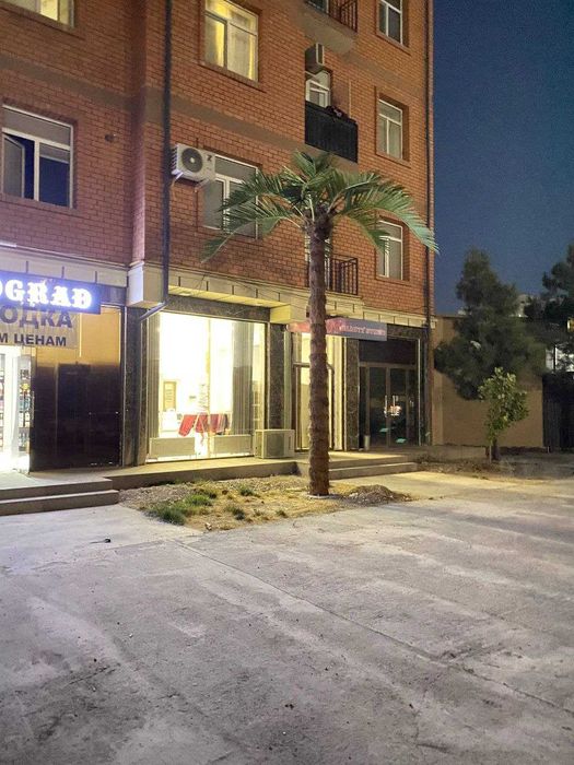 Yirik obyektlar uchun premium darajadagi sun’iy palmalar.