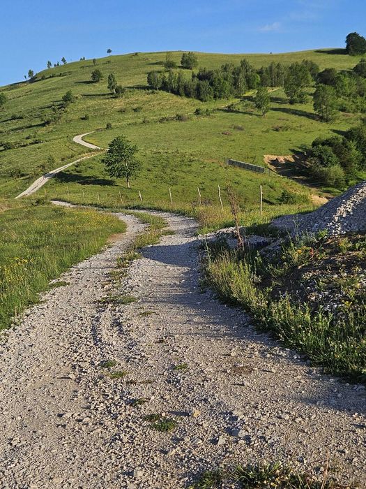 Teren de vanzare pe Transalpina de Apuseni