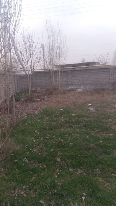 Yangihayot tumani Binokor maxalasida 5 sotik er sotiladii