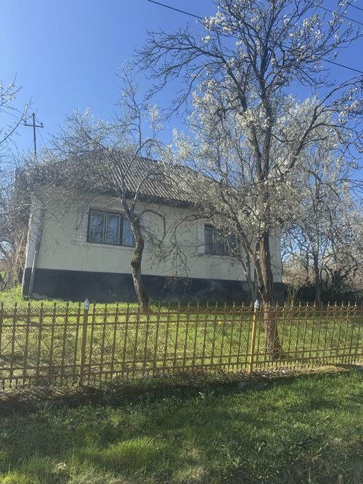 Casa si teren de vanzare la 40 km de Baia Mare
