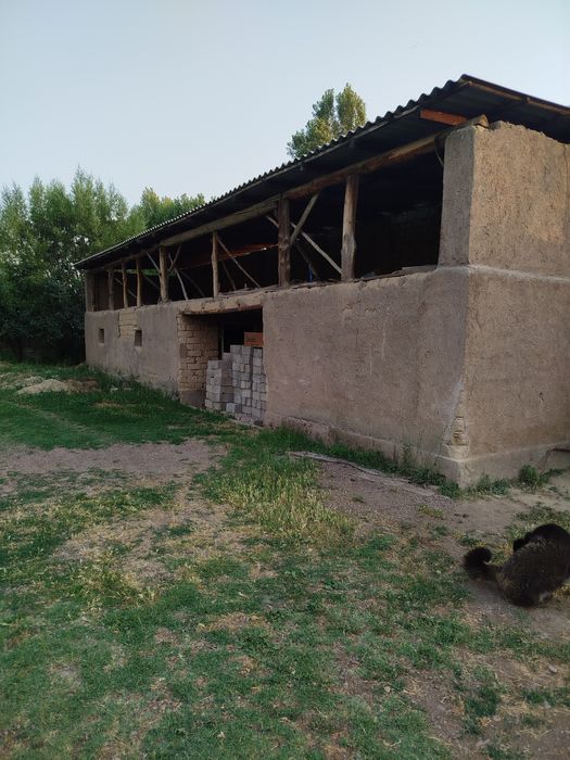 Участка арзон нархда чамбилда