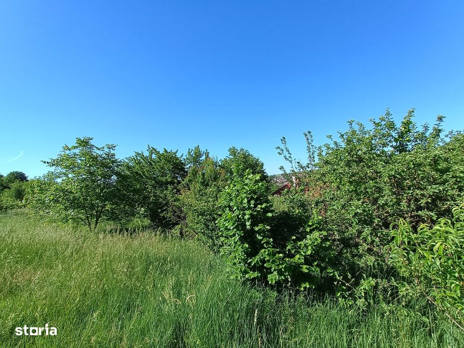 Vila din Gradina Racoți / Conac 5 camere / 6000m2