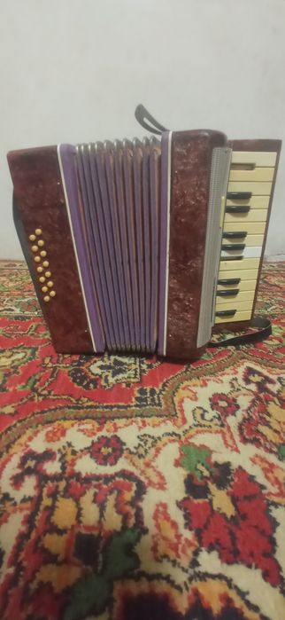 Акардион в отличном состоянии