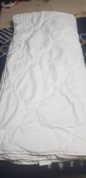 Haine de pat si pilota