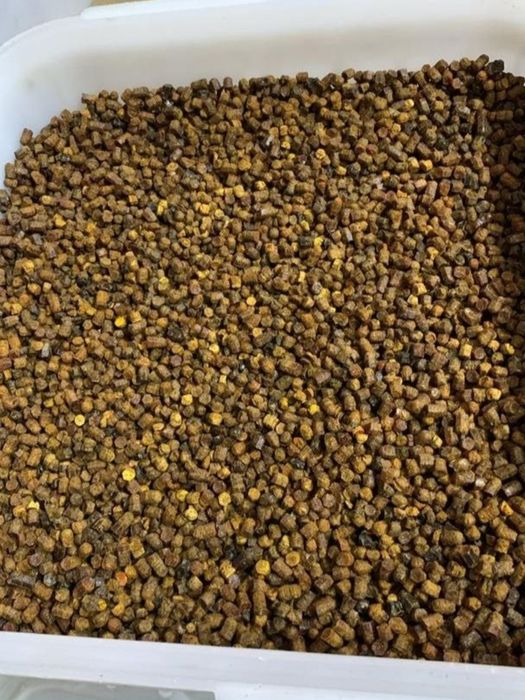 ПЕРГА свежая (хлебина пчелиная)