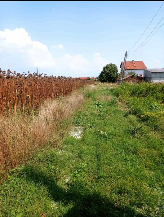 Продава се Парцел в с. Голям чардак, Област Пловдив - 675 кв.м за 23 €/кв.м - Снимка #1