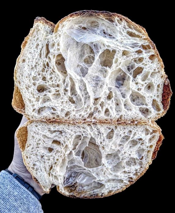 Starter pentru sourdough – Maia naturala (salbatica) pentru paine