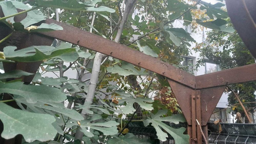 schelet metalic vagon de tren din perioada interbelica