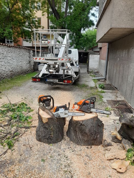 Рязане и кастрене на опасни дървета