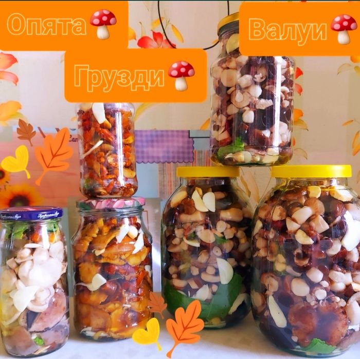 Грибочки сушенные,солёные, маринованные домашние,чистые и вкусные