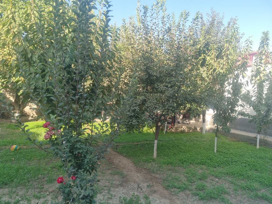 Ховли сотилади дом саттепо 5 микрорайон