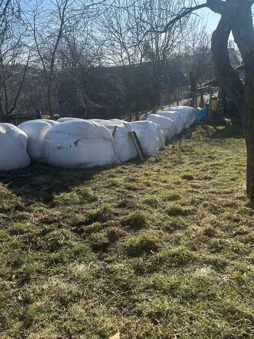 Vand 10 baloți infoliați