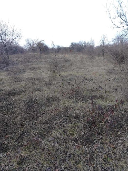 541 - Продава се дворно място в село Пороище!