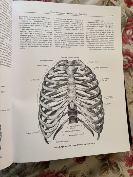 Атлас по анатомия Синелников 1-ви, 2-ри, 3-ти и 4-ти том