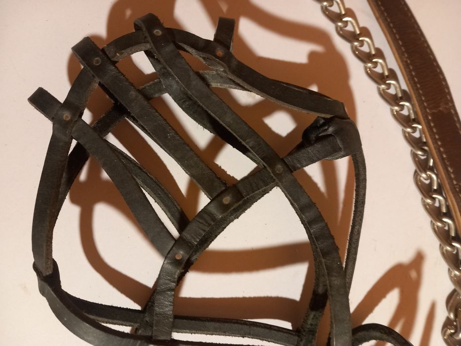 Zgarda forță, botnita și lesă câini