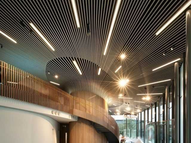 REYCHNI | REECHNIY | Potolok Rechniy reykasimon | REEYKAOBRAZNIY |