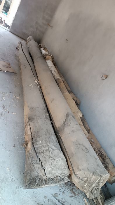 Tosinlar bor narxini kelishamiz