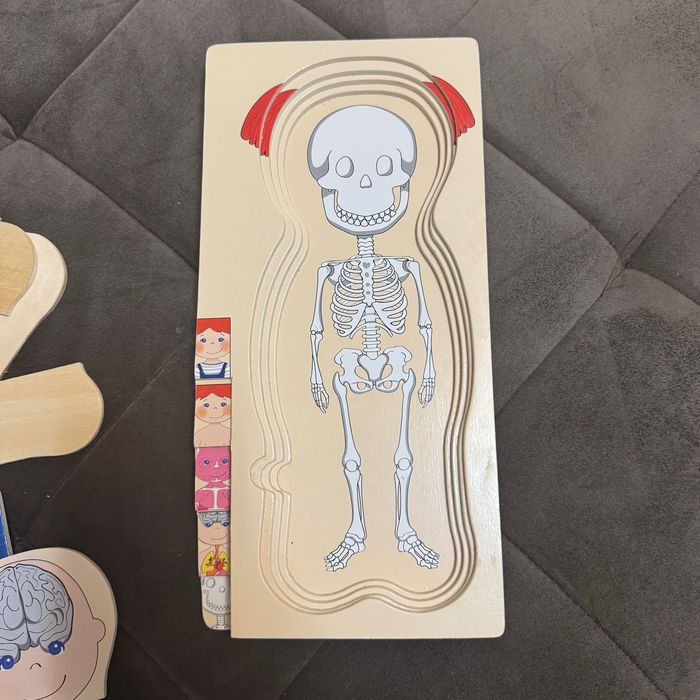 Puzzle din lemn, Corpul Uman 4 x 7 piese