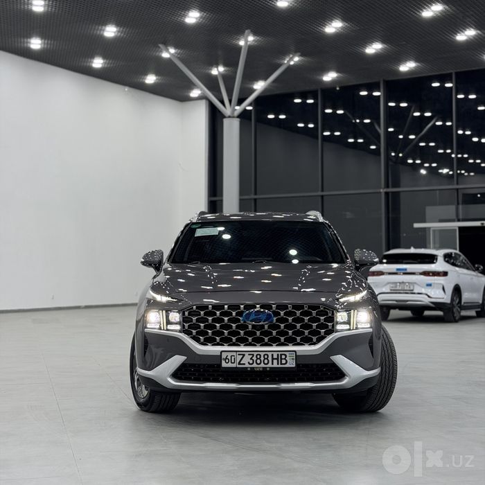 Hyundai santafe propan