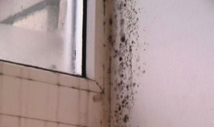 Приточный клапан