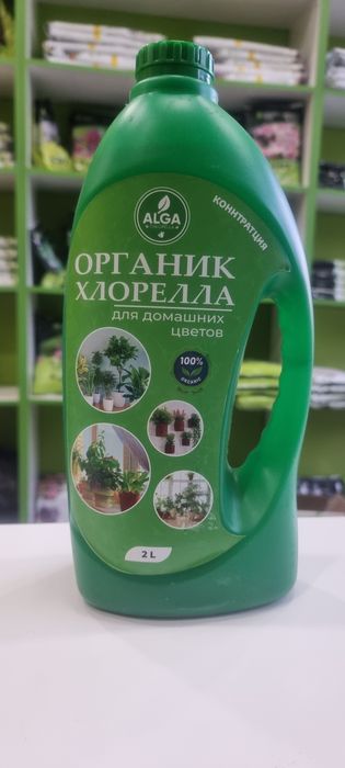 Хлорелла живая. Органическое удобрение.