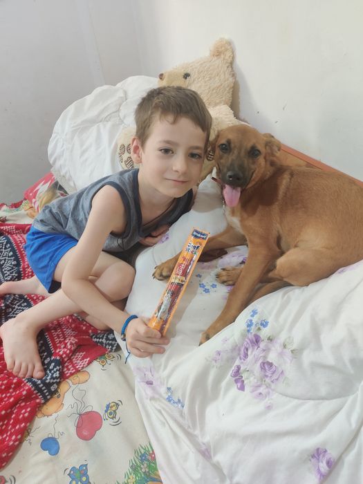 Donez Cățel talie Medie Metis