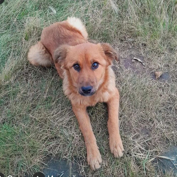 Возьми меня к себе