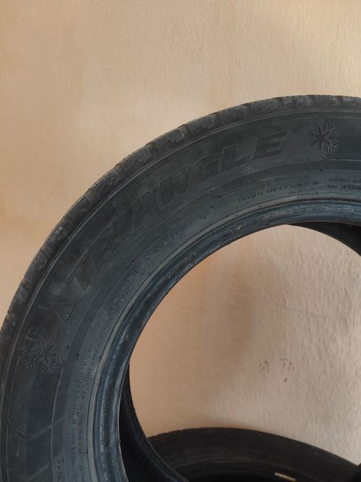 Зимние шины Triangle 195/65R15