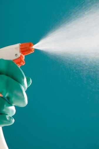 Извършване на озеленителни и почистващи услуги