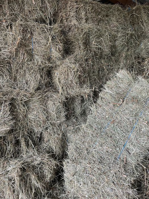 Baloti de fân, trifoi si lucerna