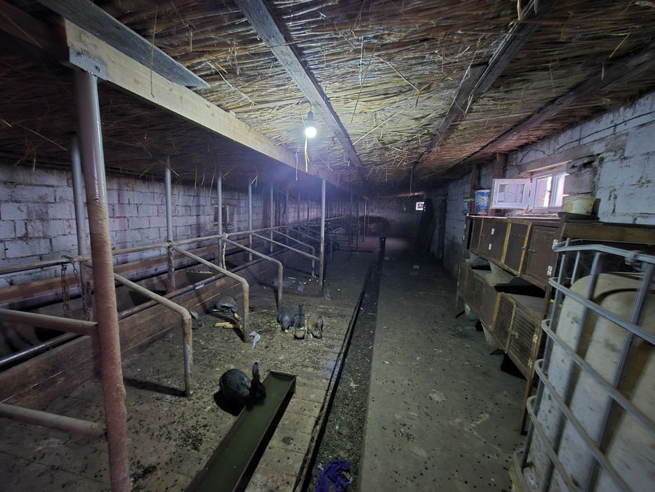 Продам КХ срочно от города 5 км!