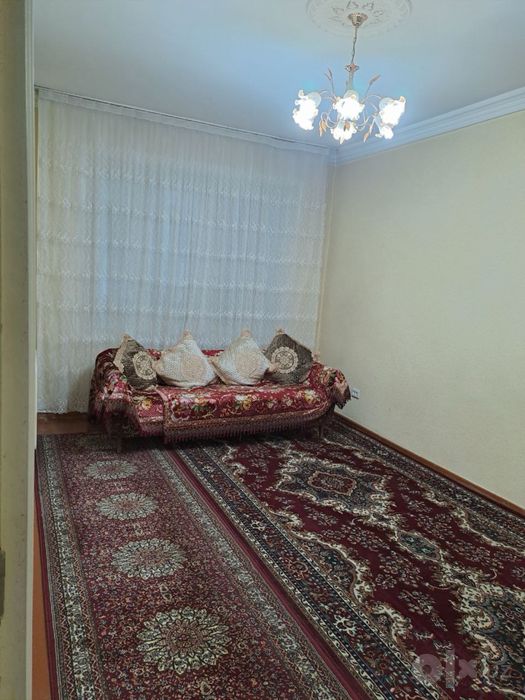 B12 Qora qamish 1-4 da 4/3/4