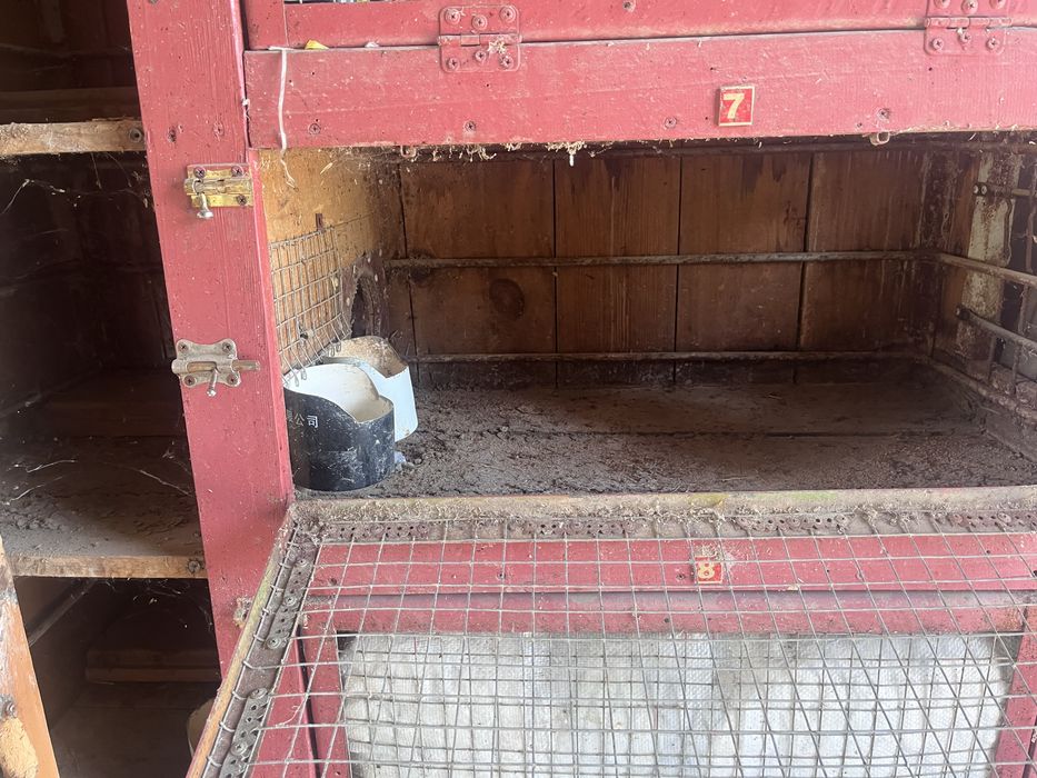 Кролятник (красивый , качественный )