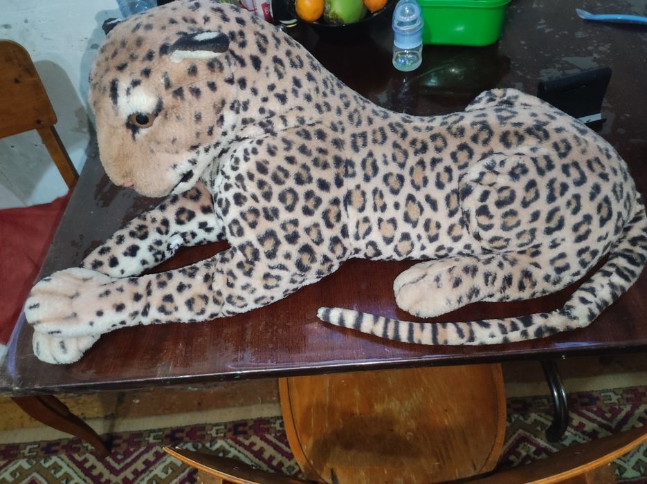продам леопарда 80см